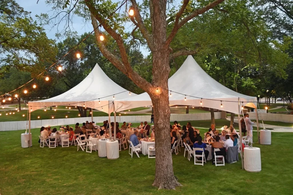 Backyard Party